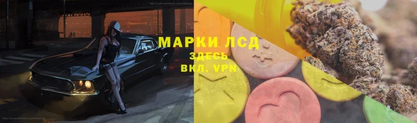 тгк Беломорск