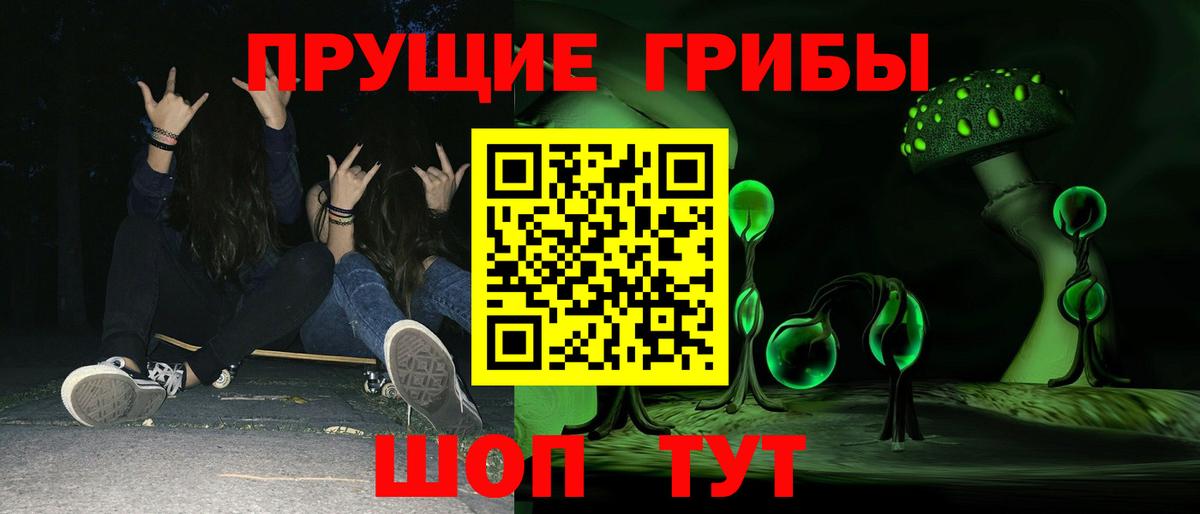 Белорецк  Галлюциногенные грибы Cubensis  Вход с VPN  Псилоцибиновые грибы Cubensis 