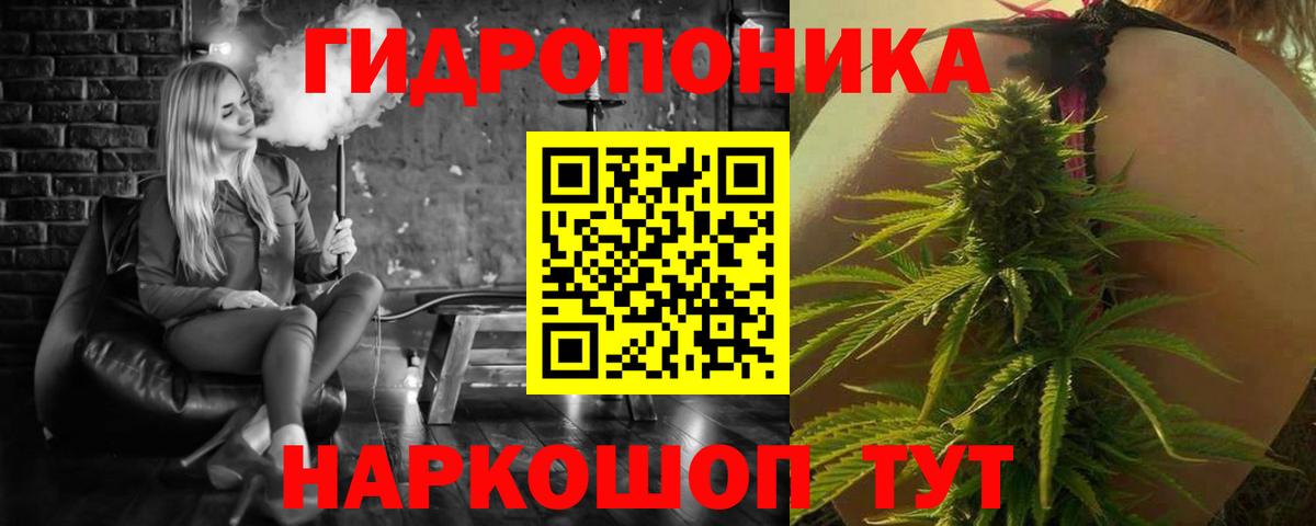Конопля Amnesia  Вход с VPN  Белорецк  МАРИХУАНА семена  Каннабис сатива 